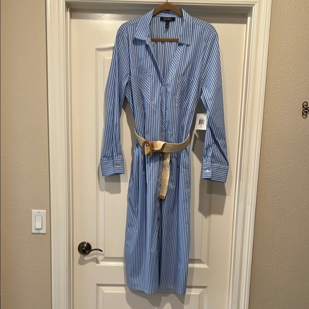Ellen Tracy Light Blue and White Striped Shirt